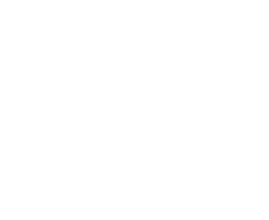 logo-lions