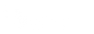 ZUZ-Logo-Intro