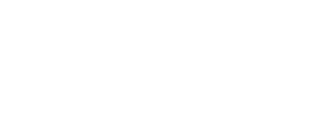 Finkel-und-Geisse-Logo
